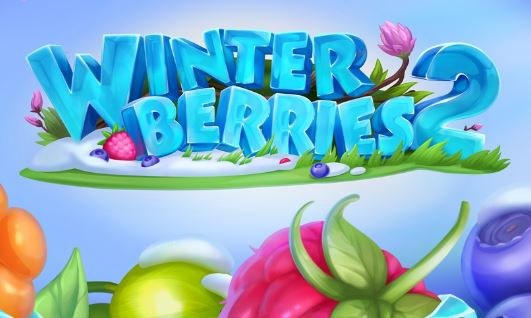Winterberries 2